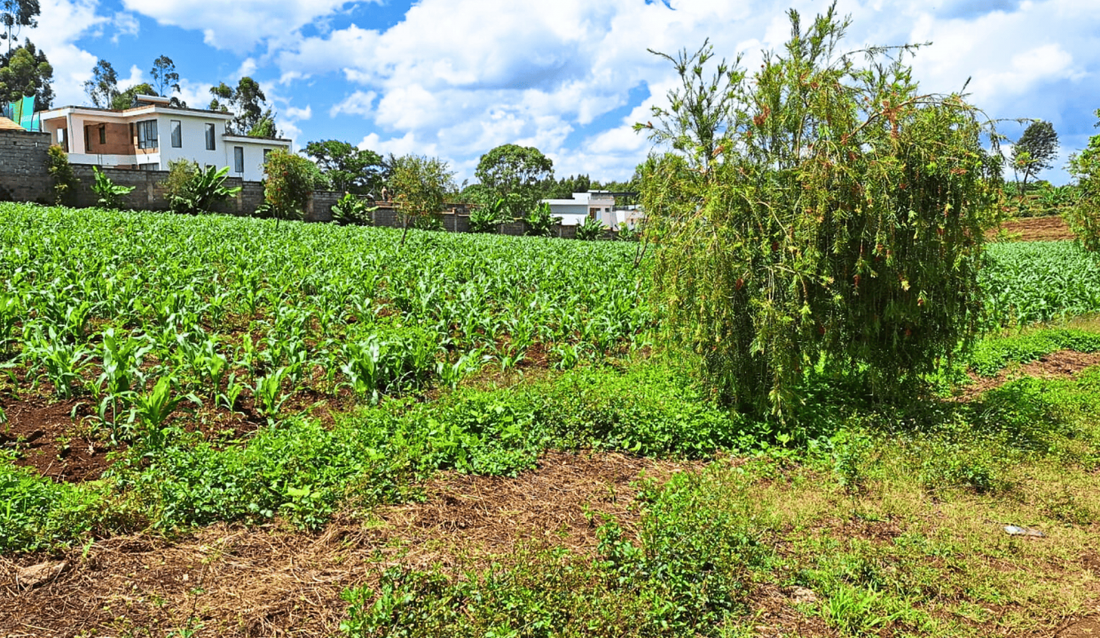 Land for Sale in Kenya