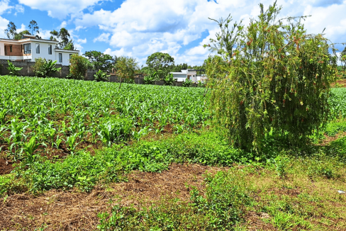 Land for Sale in Kenya