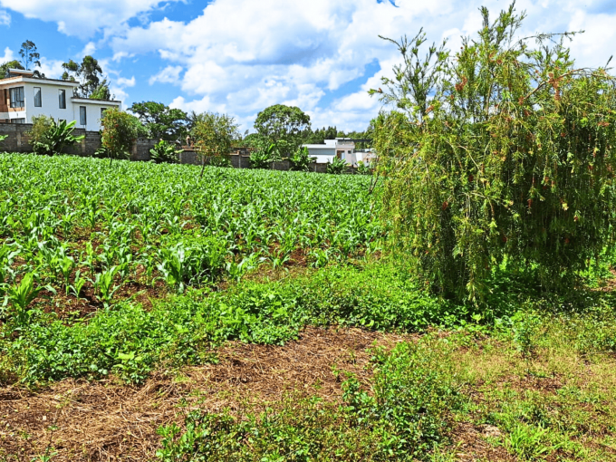 Land for Sale in Kenya