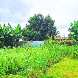 1/4 Acre land for sale in Uthiru , Nairobi