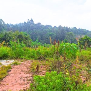 Land for sale in Tigoni, Limuru