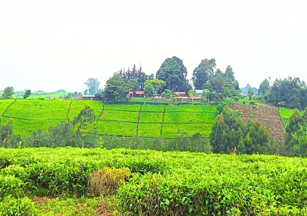 1-Acre Land for Sale in Riara Ridge