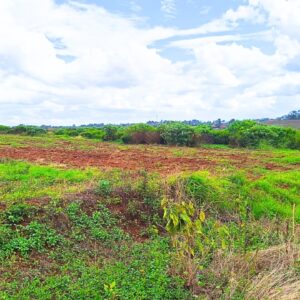 1 acre Commercial land for sale in Ruiru