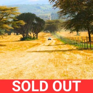 NAIVASHA SOLD OUT