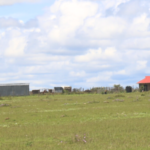 Affordable Land for sale in Kitengela