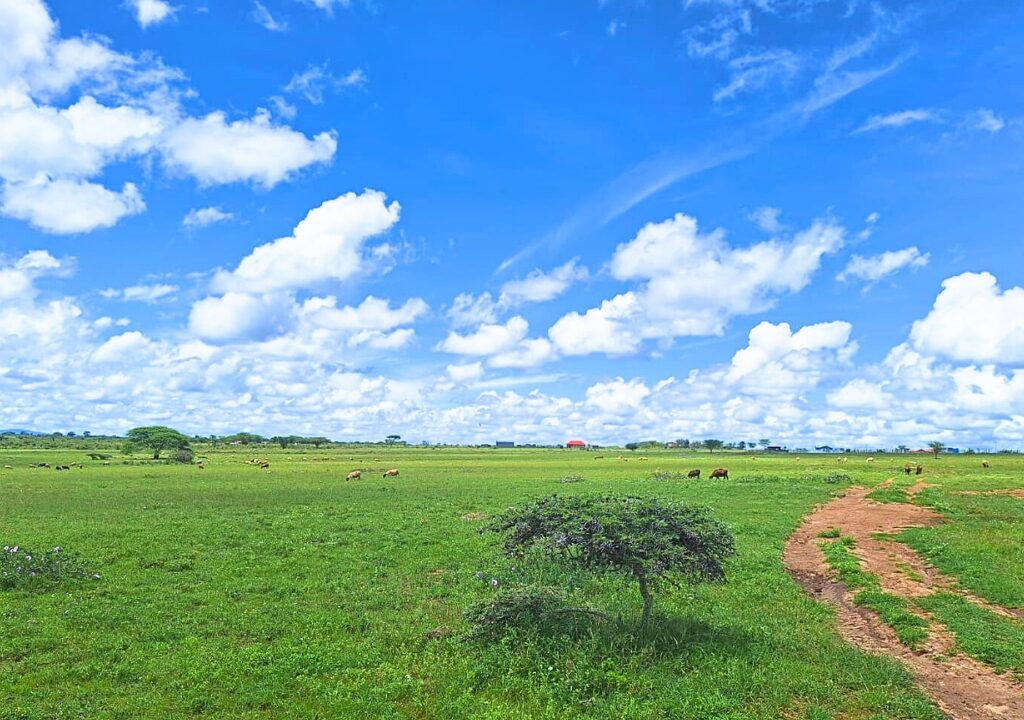 Land for sale in Kitengela