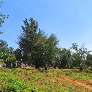 Land for sale in Kiambu