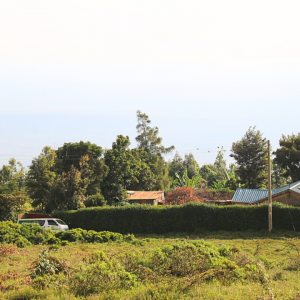 Limuru residential land