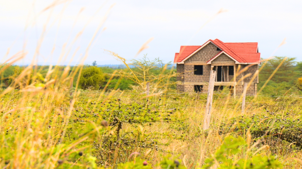 Untitled design (75)