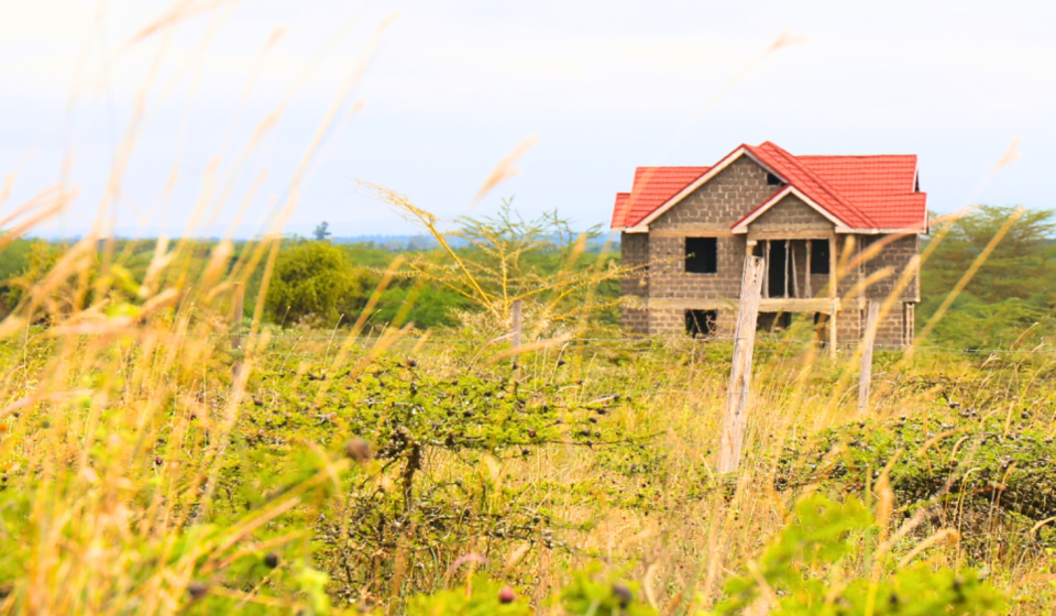 Untitled design (75)