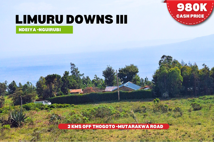 Ndeiya land for sale