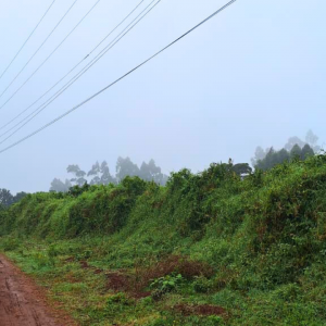 Rironi land for sale