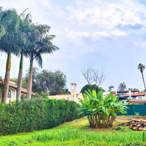 Kiambu land for sale