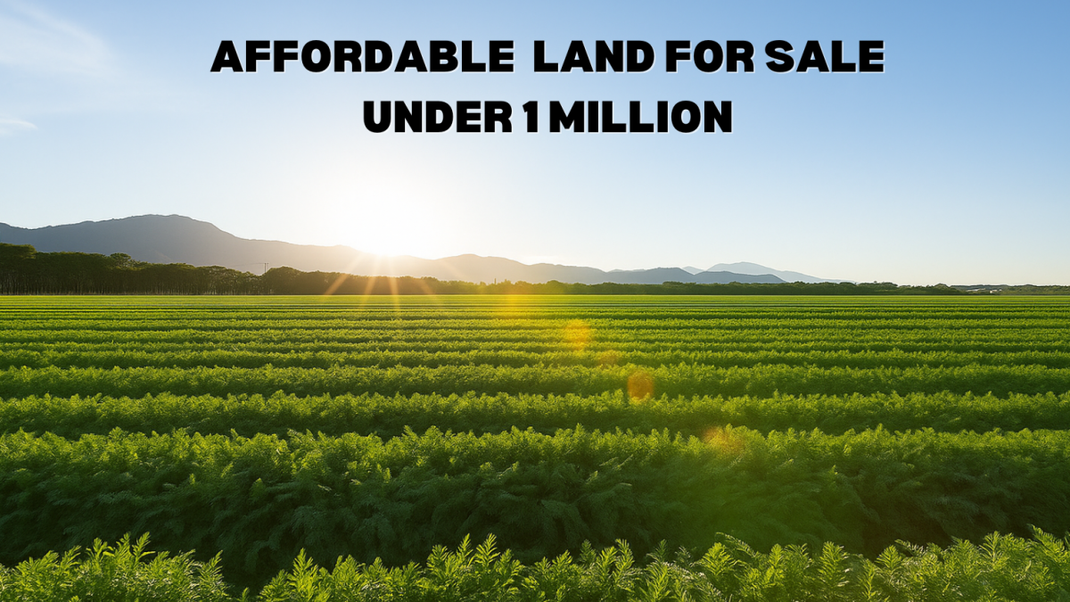 Affordable land for sale