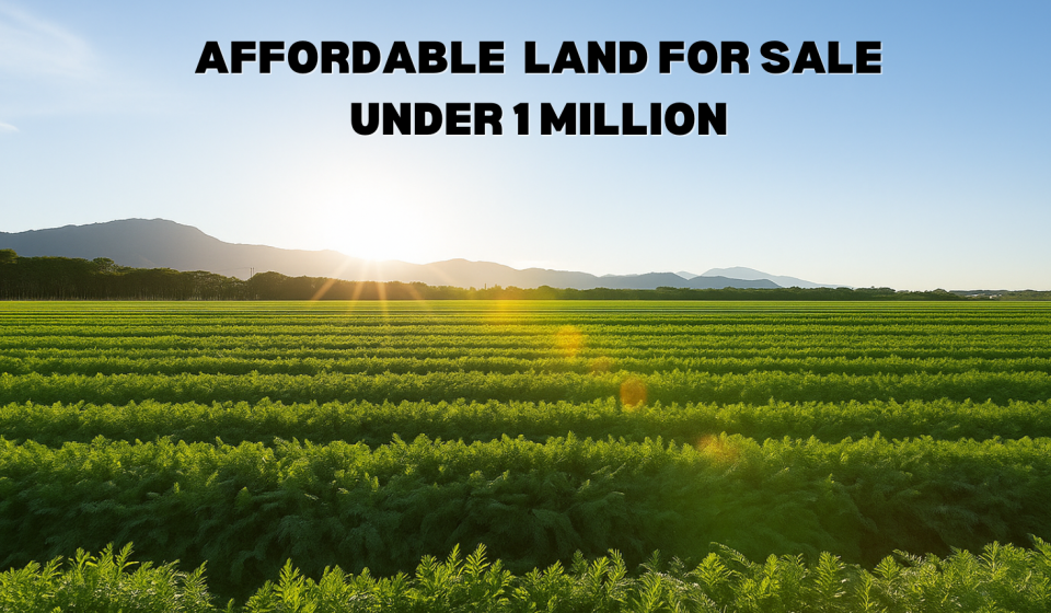 Affordable land for sale