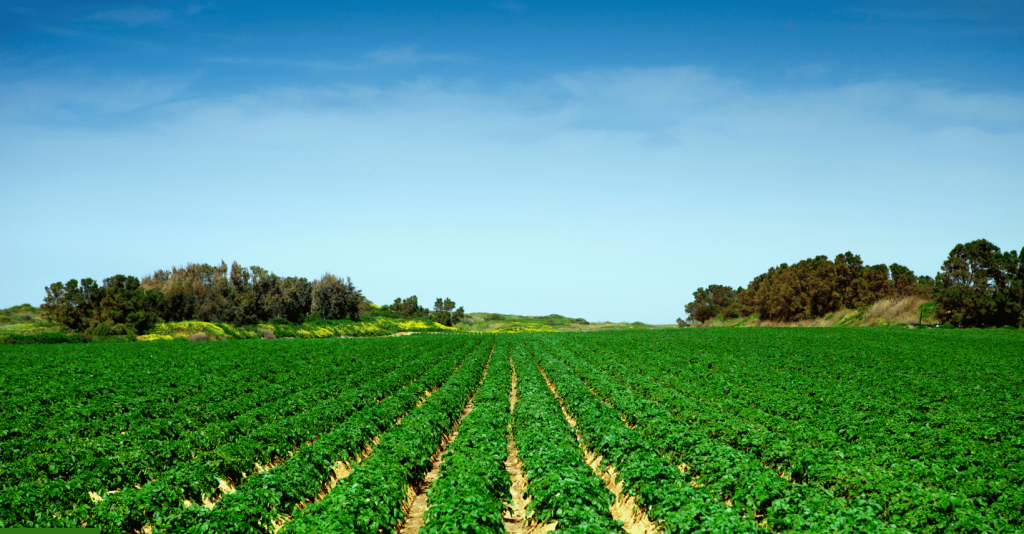 Untitled design - 2025-10-01T114225.329