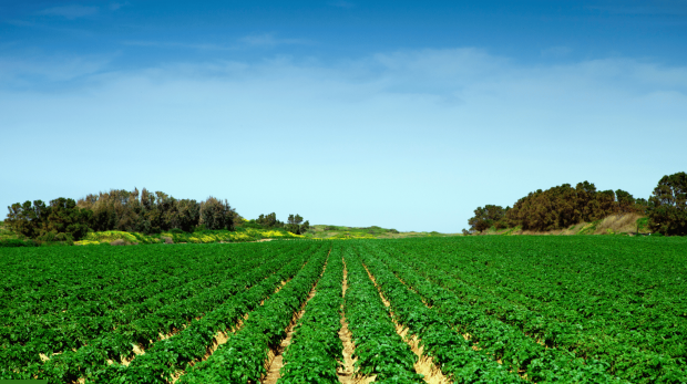 Untitled design - 2025-10-01T114225.329