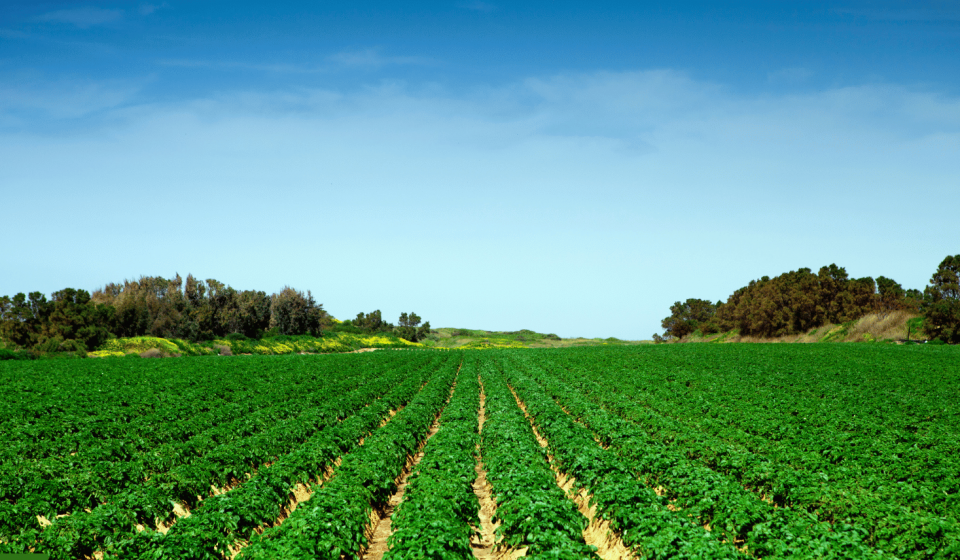 Untitled design - 2025-10-01T114225.329