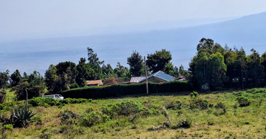 Untitled design - 2025-10-14T174514.011