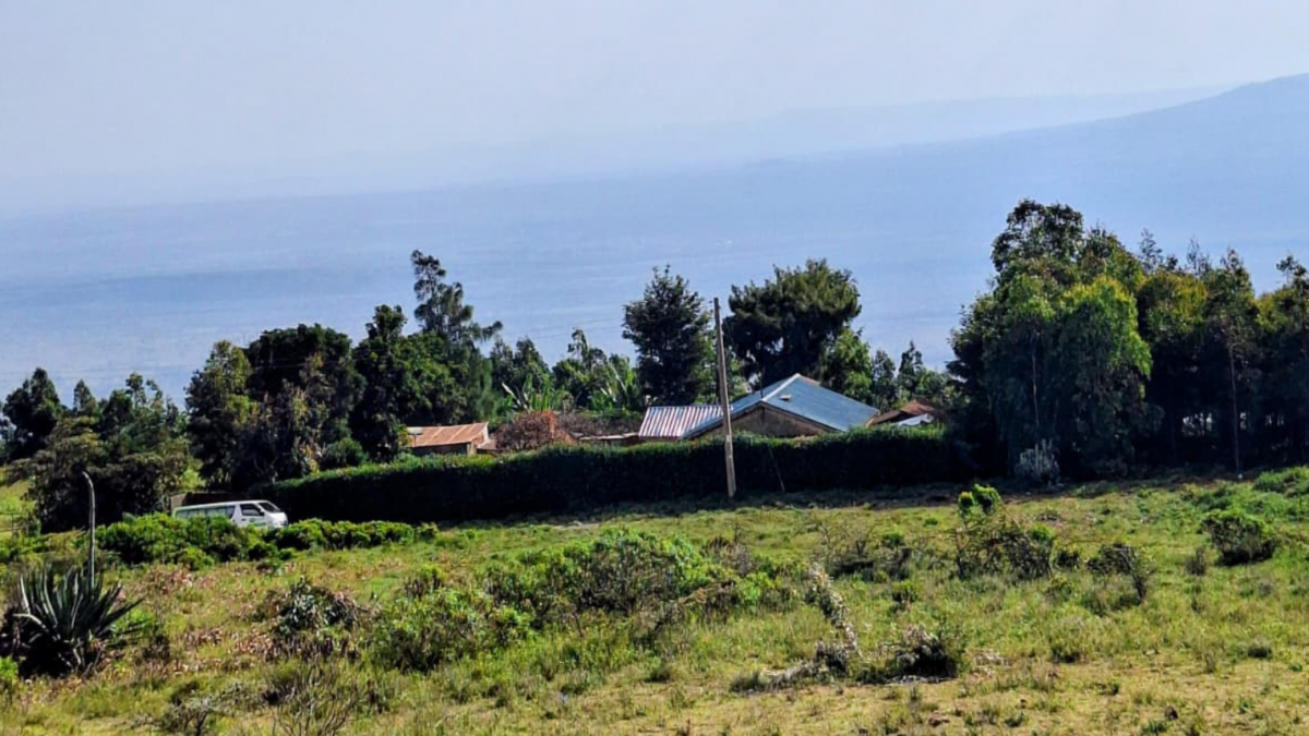 Untitled design - 2025-10-14T174514.011