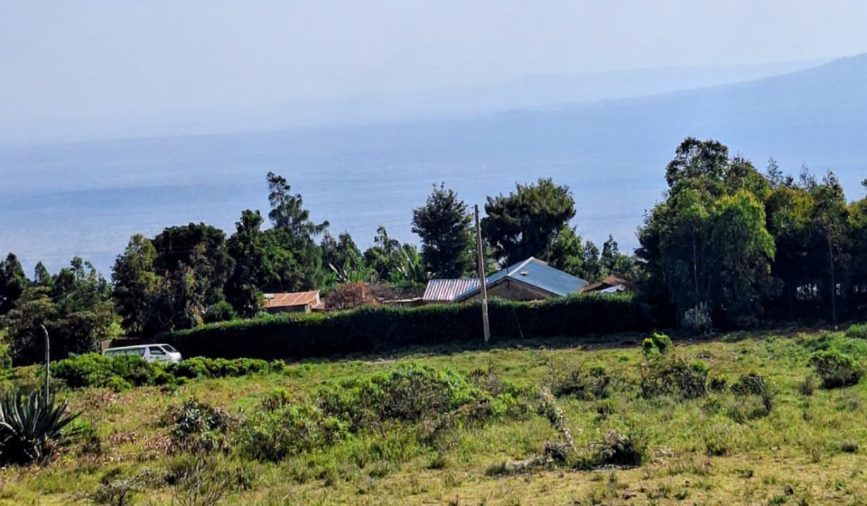 Untitled design - 2025-10-14T174514.011