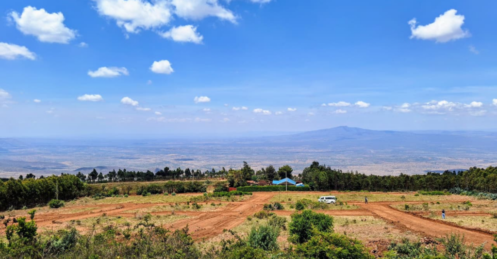 Untitled design - 2026-01-16T154307.308