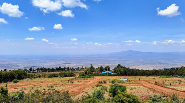 Untitled design - 2026-01-16T154307.308