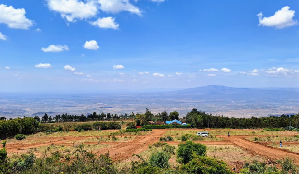 Untitled design - 2026-01-16T154307.308