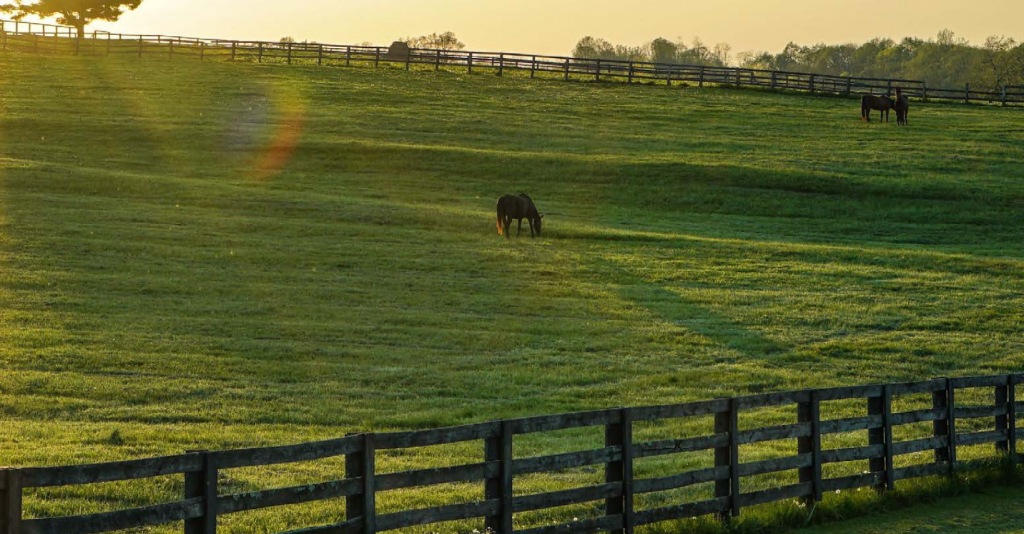 Untitled design (16)