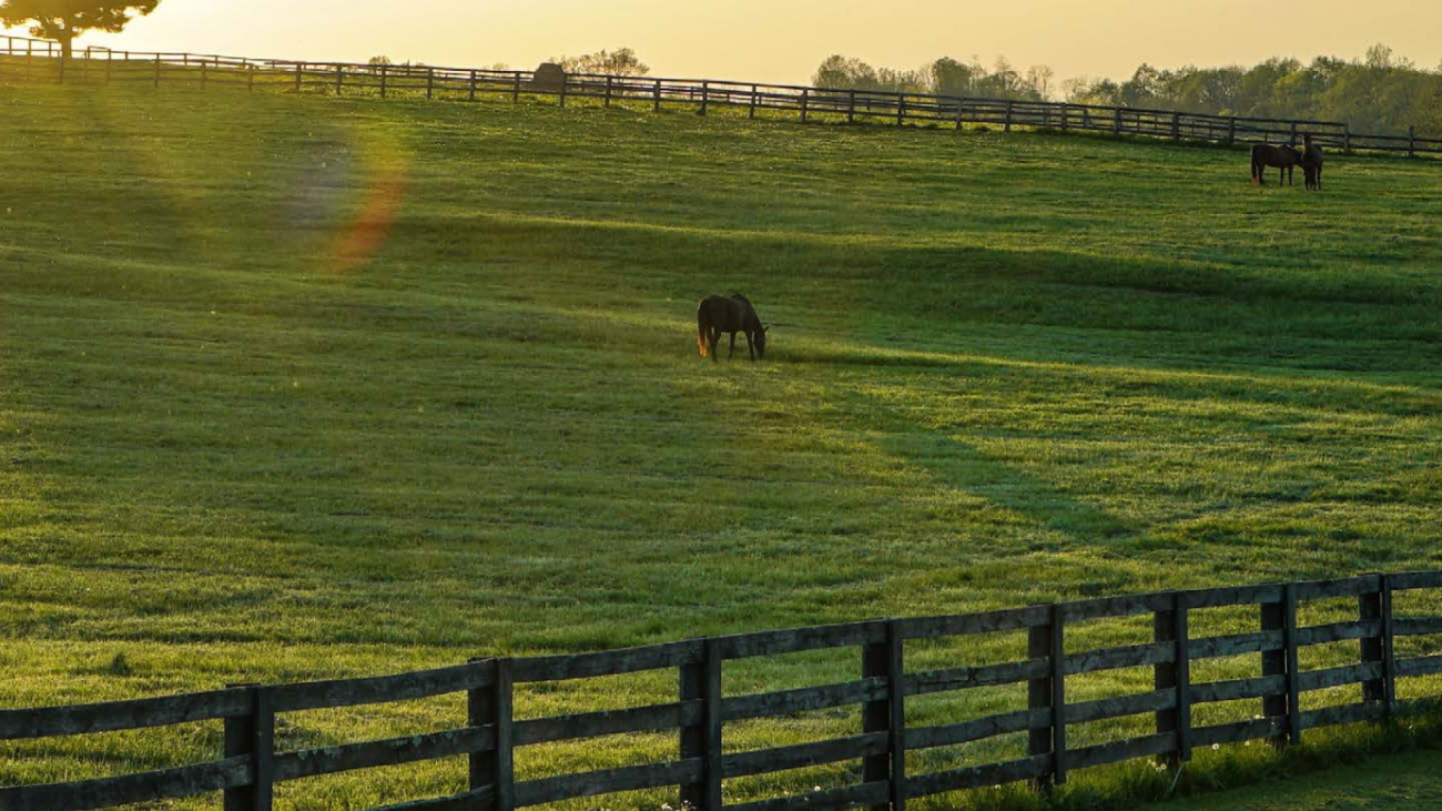 Untitled design (16)