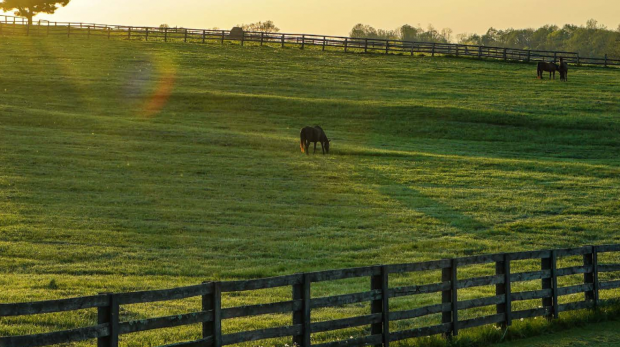 Untitled design (16)