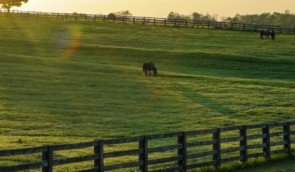 Untitled design (16)