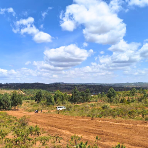 Kikuyu land for sale