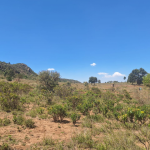 Nachu Land for sale