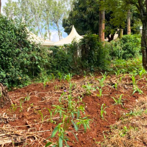 Muchatha land for sale