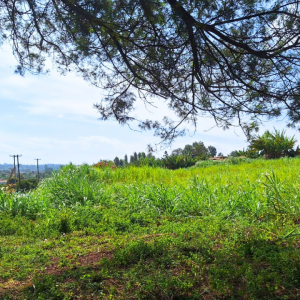 Kiambu land for sale